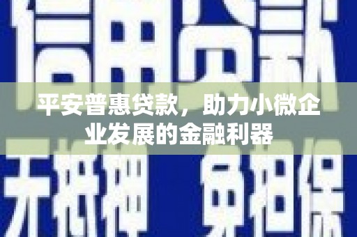 泊头平安普惠贷款，助力小微企业发展的金融利器