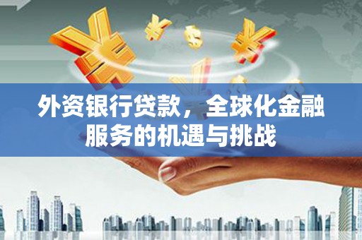 泊头外资银行贷款，全球化金融服务的机遇与挑战