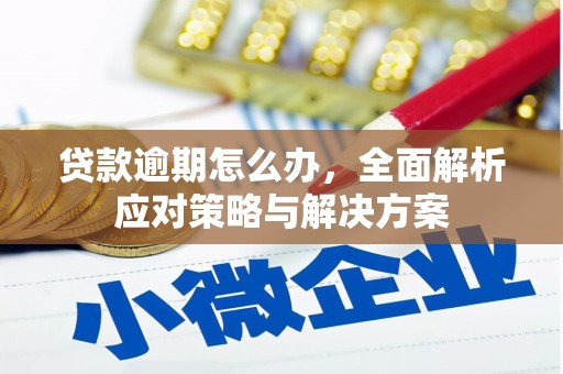 泊头贷款逾期怎么办，全面解析应对策略与解决方案