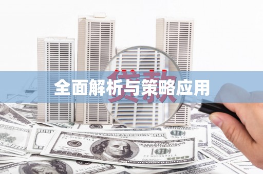 泊头全面解析与策略应用