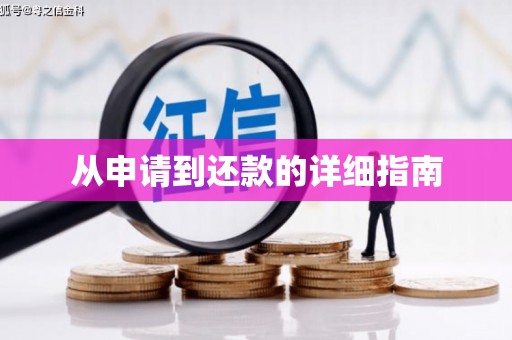 泊头从申请到还款的详细指南