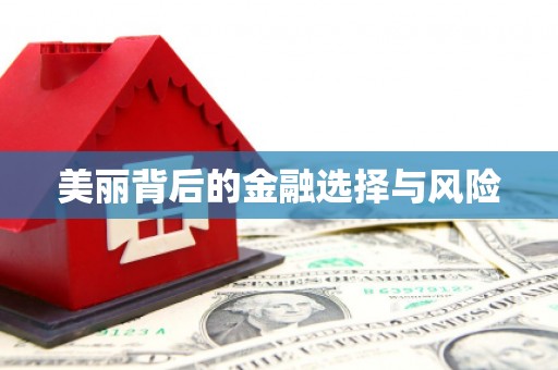 泊头美丽背后的金融选择与风险