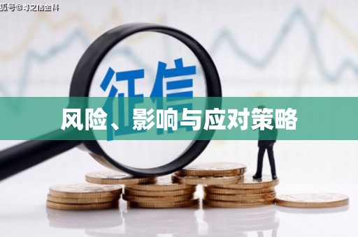 泊头风险、影响与应对策略