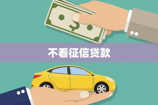 泊头不看征信贷款