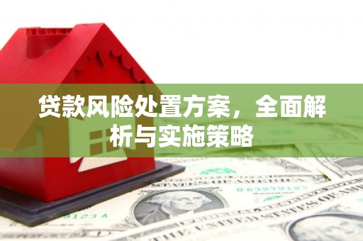 泊头贷款风险处置方案，全面解析与实施策略