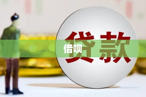 泊头借呗