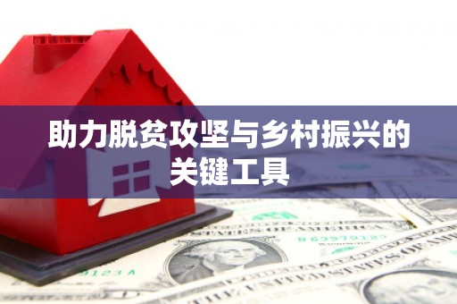 泊头助力脱贫攻坚与乡村振兴的关键工具