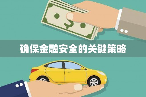 泊头确保金融安全的关键策略