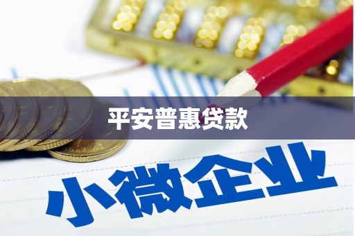 泊头平安普惠贷款