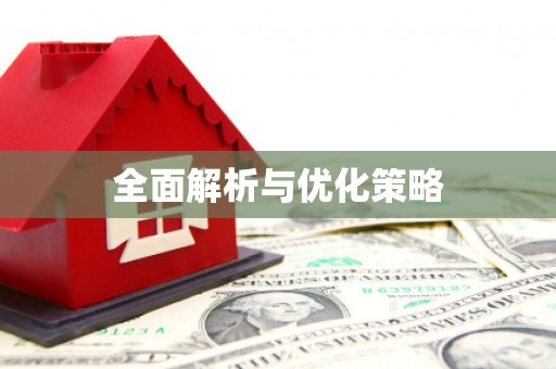 泊头全面解析与优化策略